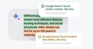 جستجوی گوگل پاسخ های بارد را چک می کند